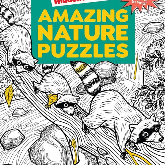 kids puzzle books