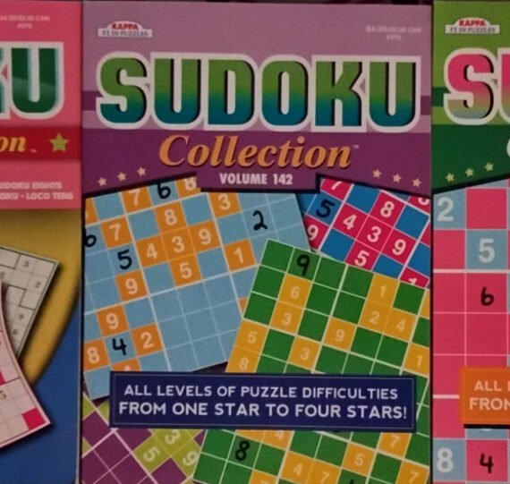 Sudoku Puzzle Books. Volumes 21, 142, & 143