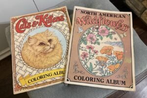 Vintage 1974 &1977 Wildflowers & Cats & Kittens Coloring Albums Kipping & Kunic