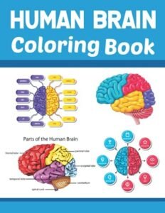 Human Brain Coloring Book: Human Brain Anatomy Coloring Book For Kids & Adults.