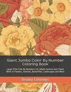 Giant Jumbo Color By Number Coloring Book: Large Print Colo By Numbers For A…