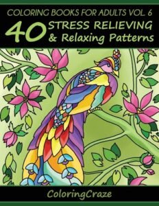 Coloring Books For Adults Volume 6: 40 Stress Relieving And Relaxing Pattern…