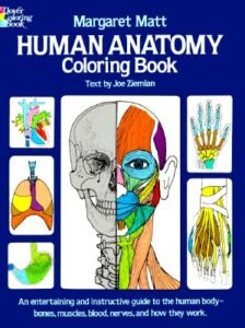 Human Anatomy Coloring Book (Dover Children’s Science Books) by Margaret Matt,